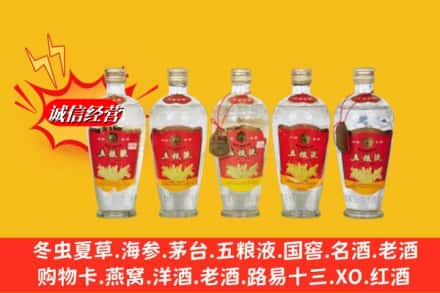 南充市嘉陵回收老五粮液