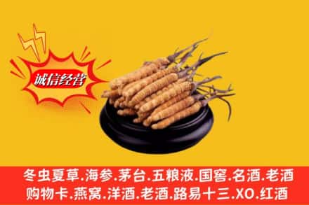 南充市嘉陵名酒回收冬虫夏草.jpg